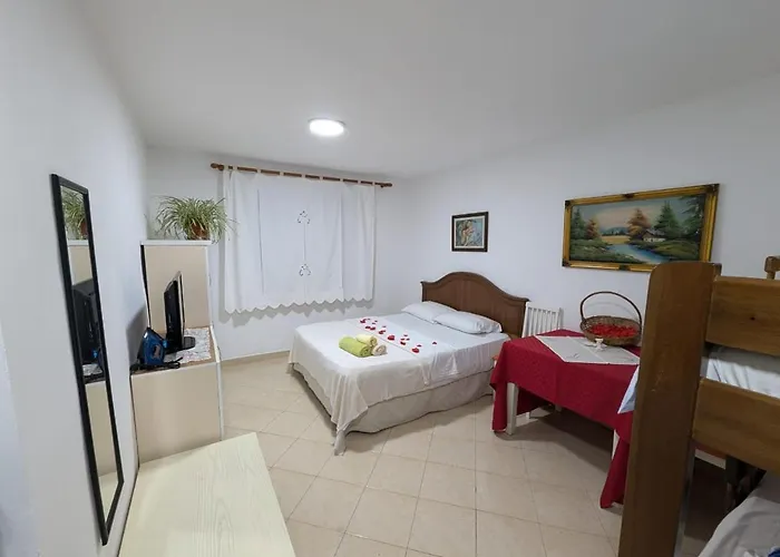 Zhizelle Xhamllik\'Apartment